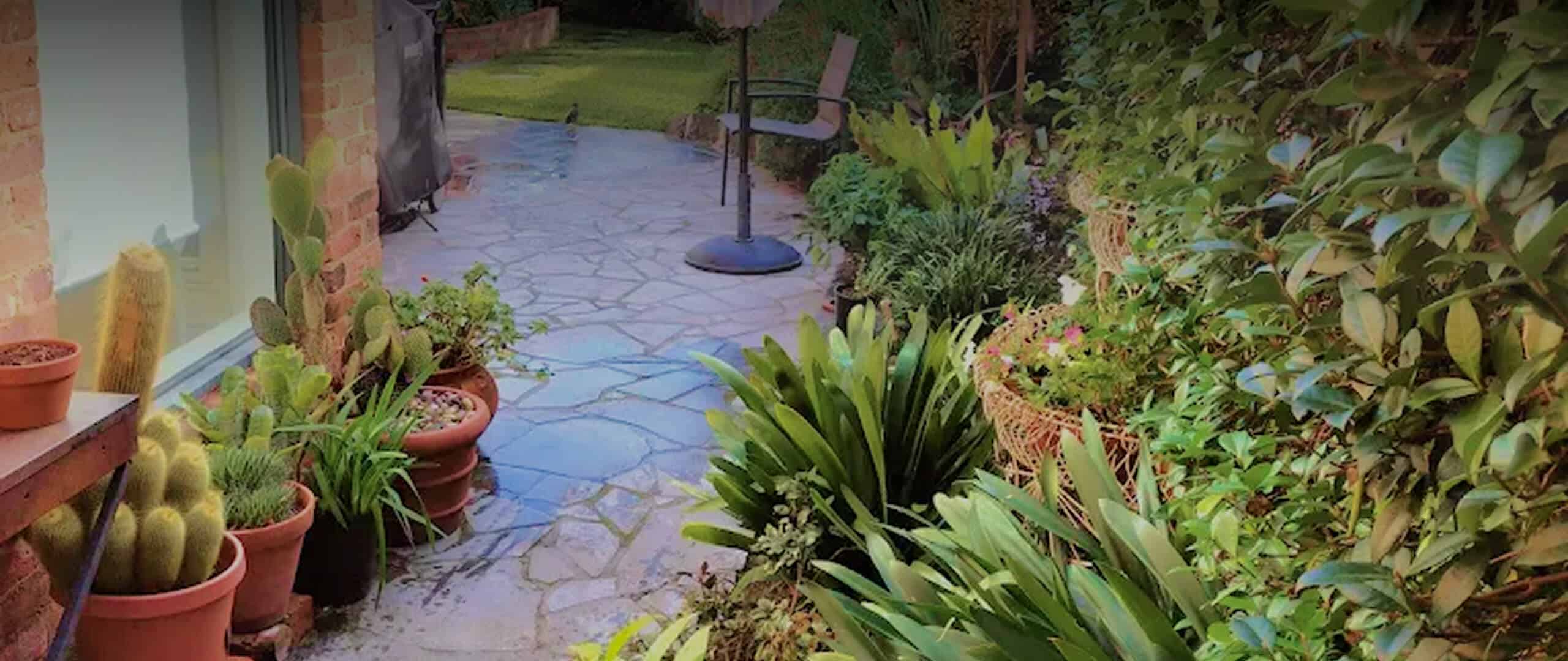 contact-banner