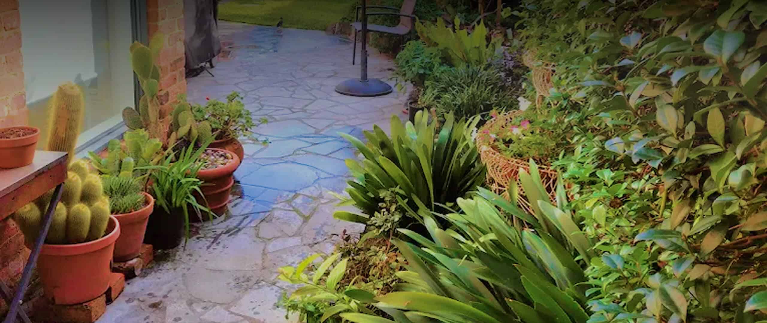 landscape-design-banner