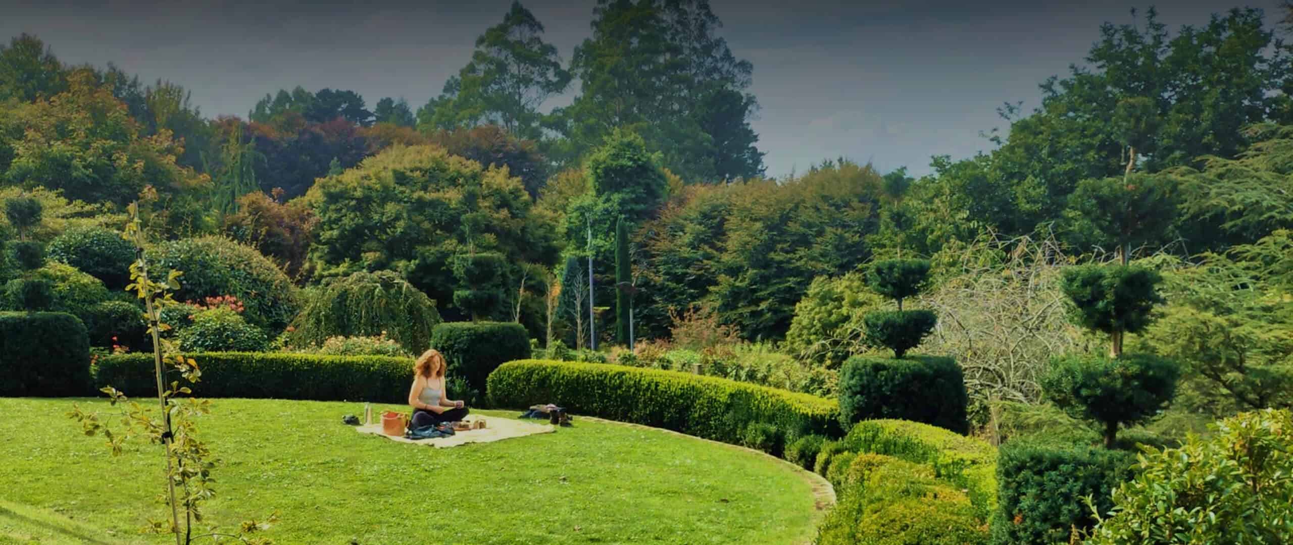 soft-scaping-banner